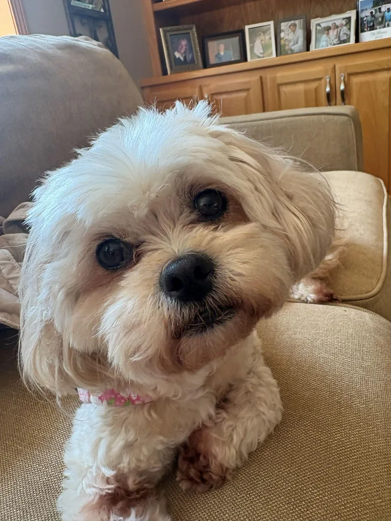 Lexi thumbnail 2