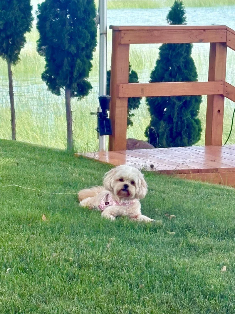 Lexi thumbnail 3