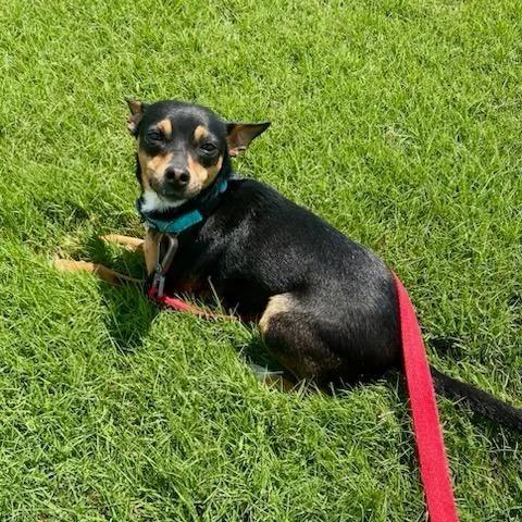 Ethel