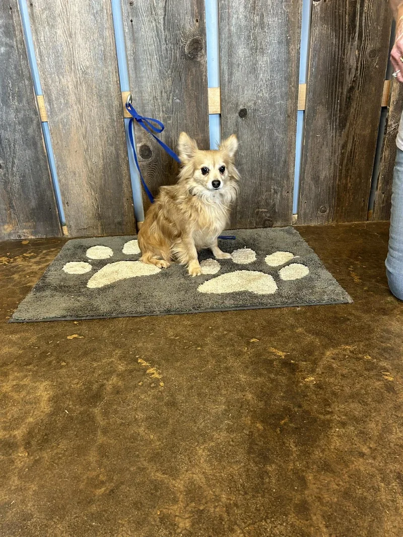 Miles   $ thumbnail 2