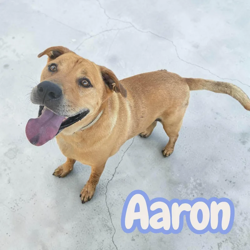Aaron & Moses