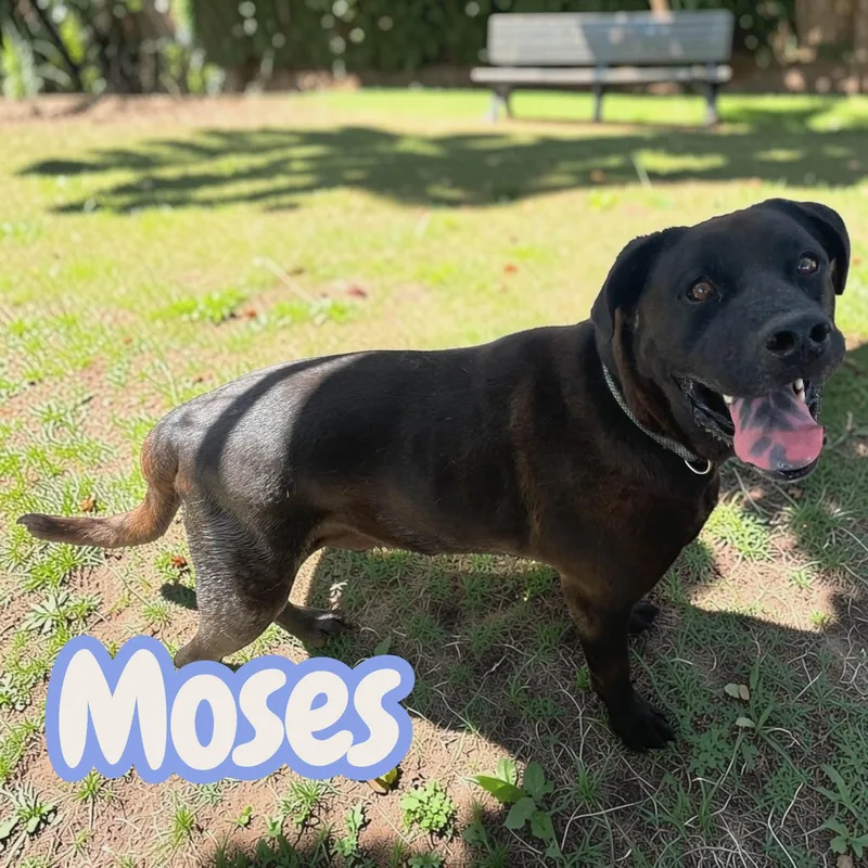 Aaron & Moses  thumbnail 5