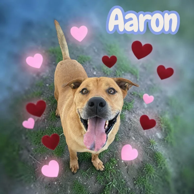 Aaron & Moses  thumbnail 6