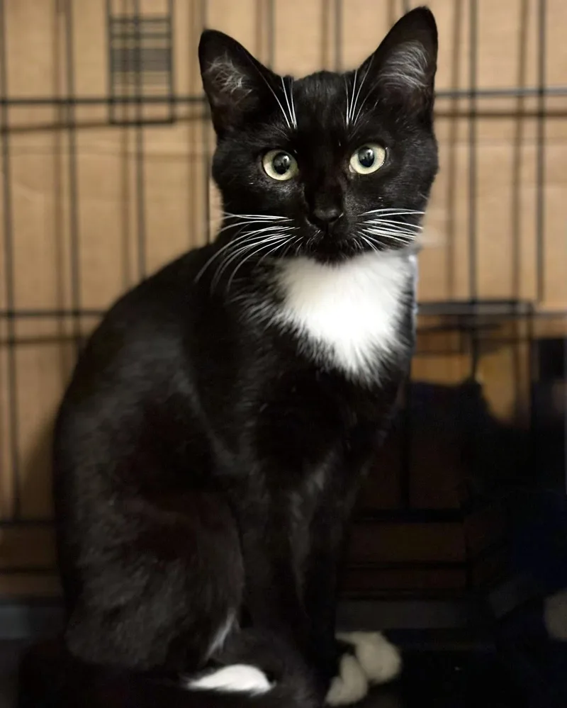 Dee & Dennis thumbnail 2