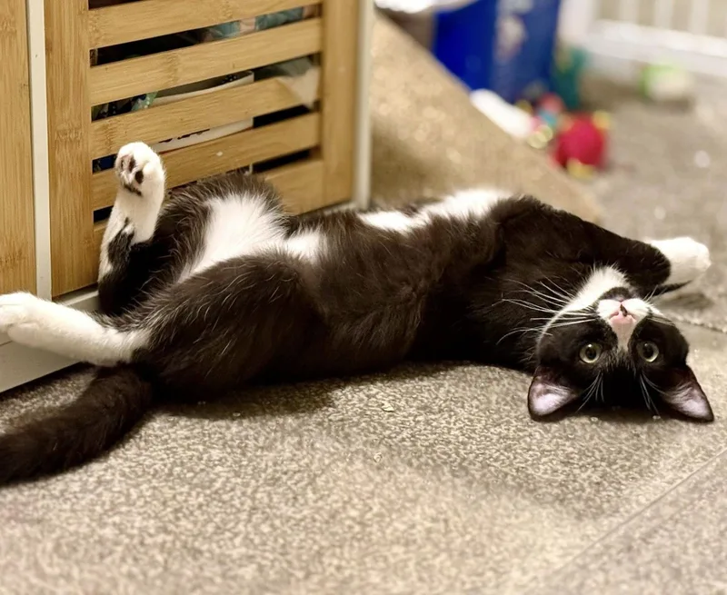 Dee & Dennis thumbnail 4