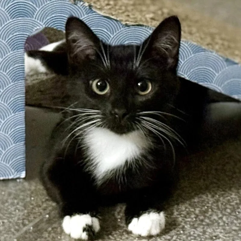 Dee & Dennis thumbnail 6