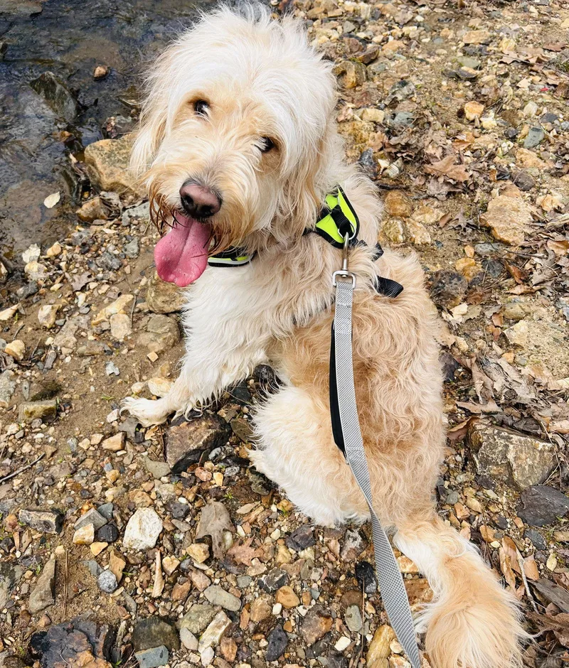 Peter The Great thumbnail 2