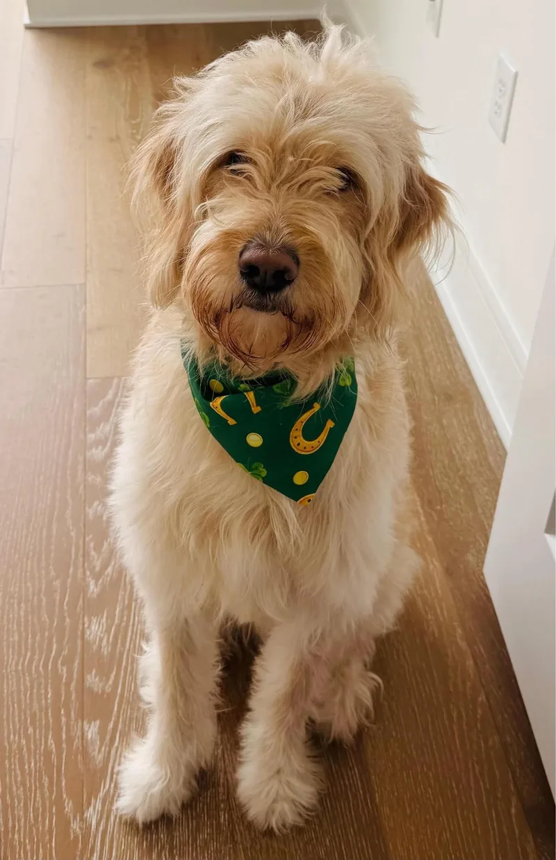 Peter The Great thumbnail 3