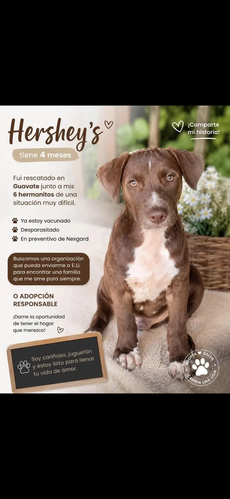 Hershey thumbnail 2