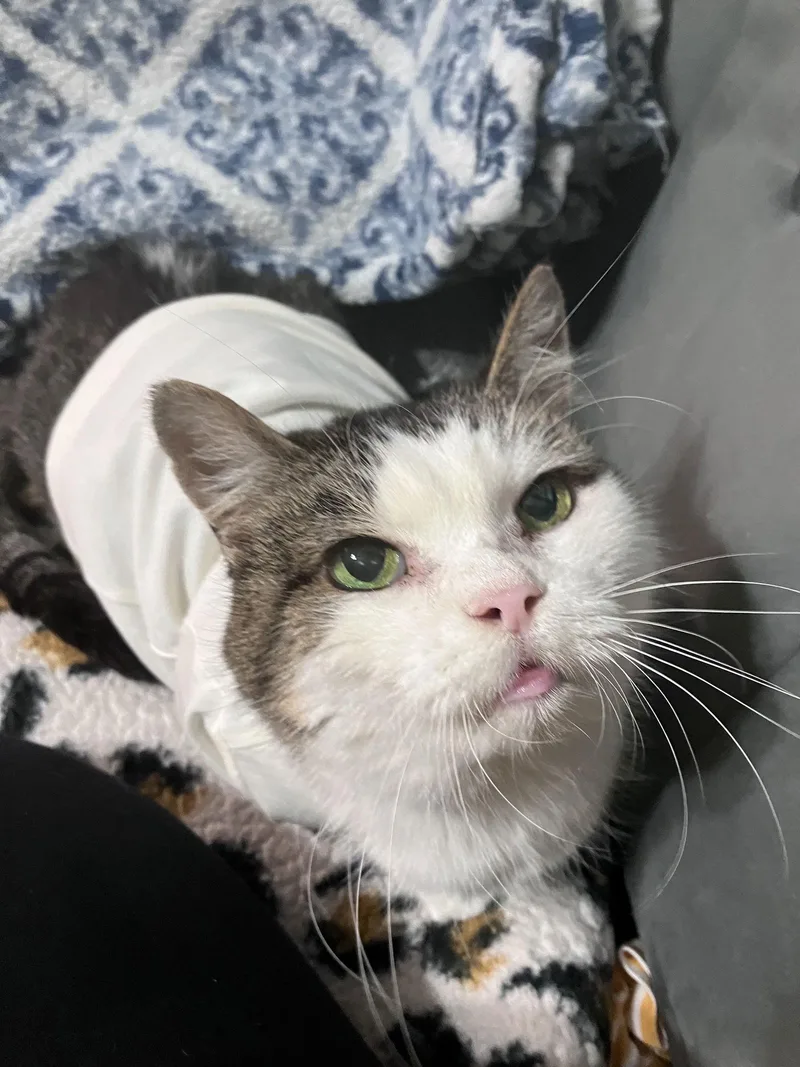 Princess thumbnail 2