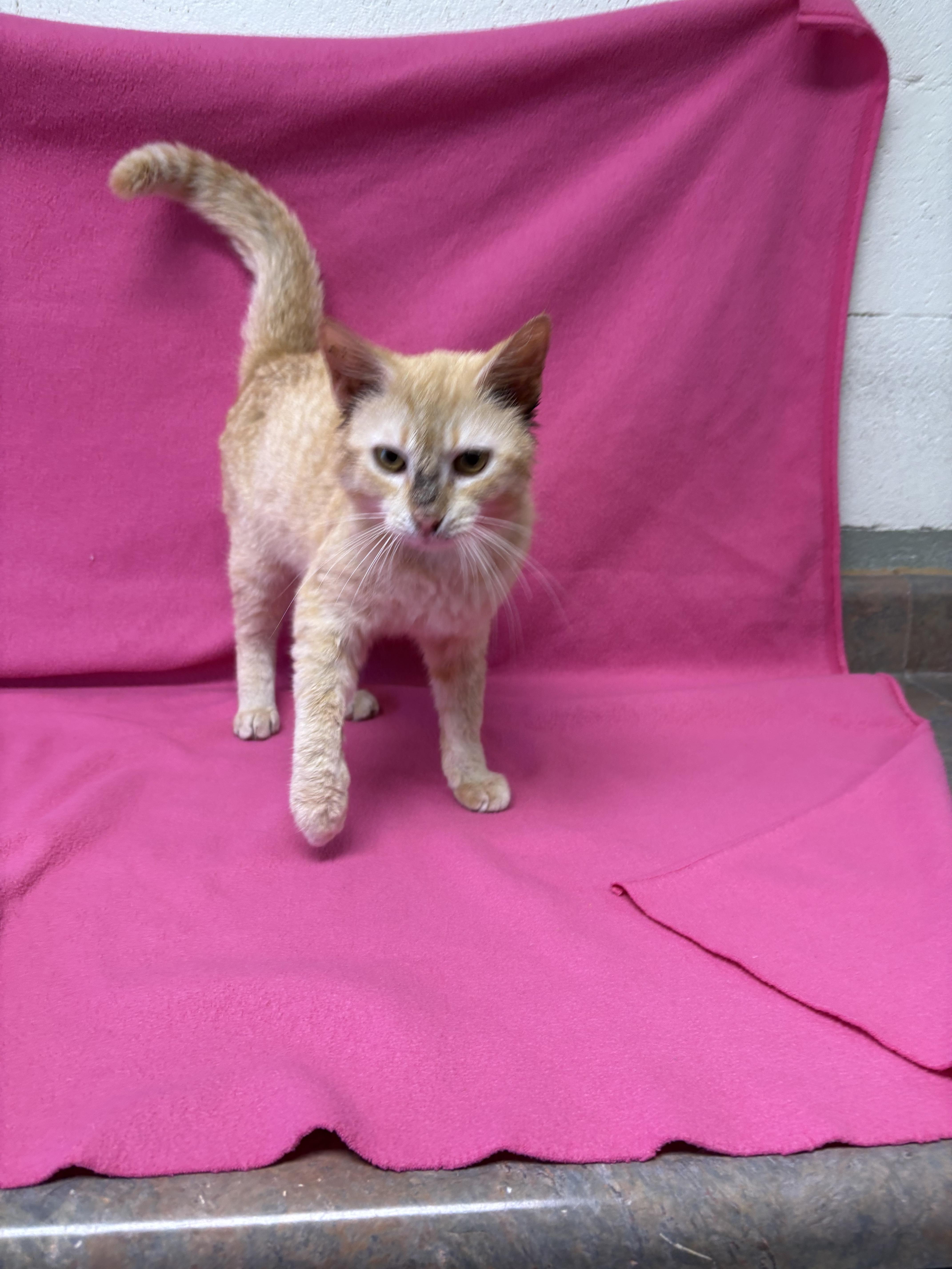 Hartford thumbnail 2