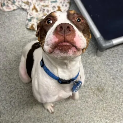 Thaddeus Micah thumbnail 2