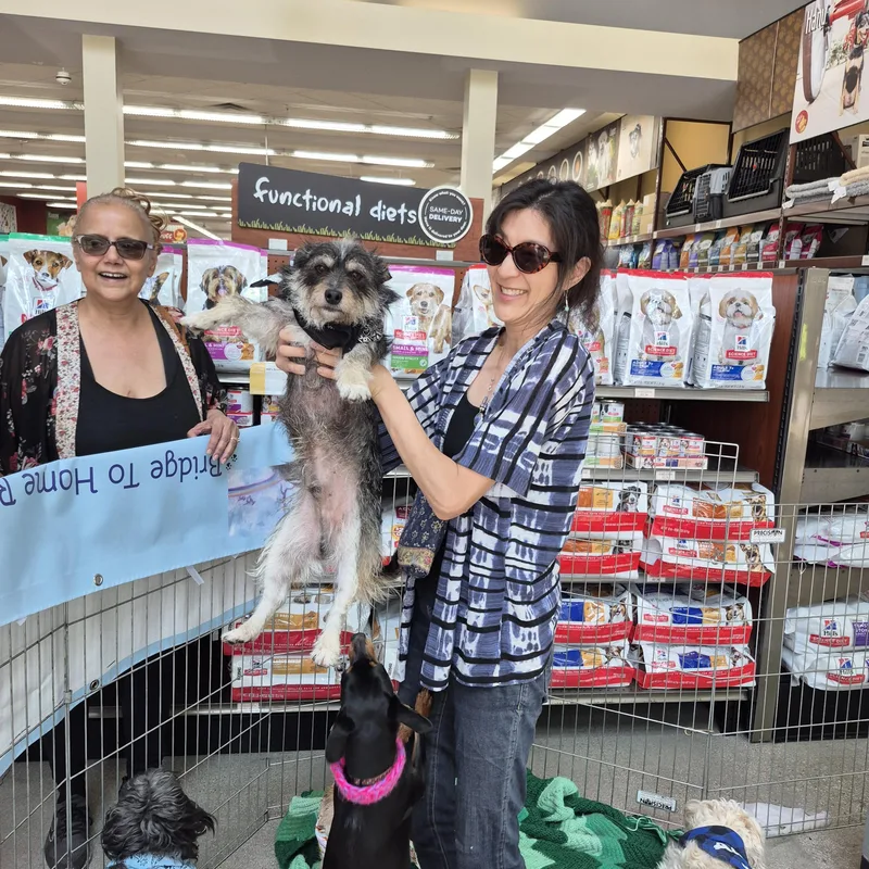 Tata! Toto! thumbnail 3