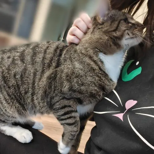 Ceeferfiv+positively Wonderful! thumbnail 3