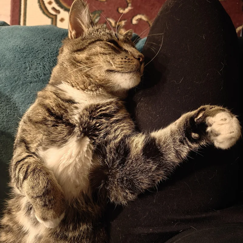 Ceeferfiv+positively Wonderful! thumbnail 4