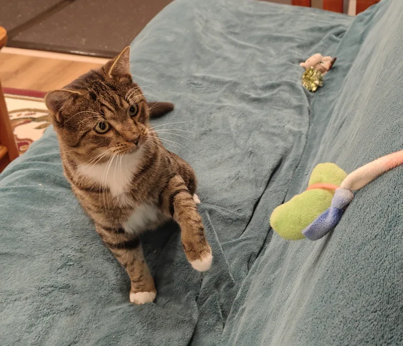 Ceeferfiv+positively Wonderful! thumbnail 5