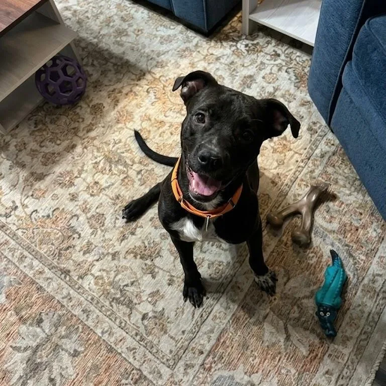 Cosmo