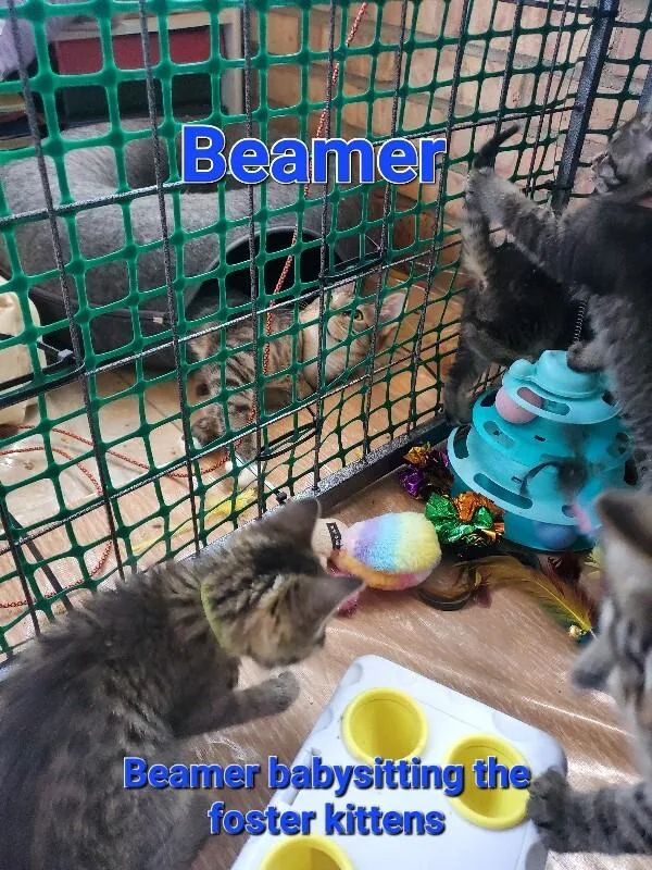 Beamer thumbnail 4