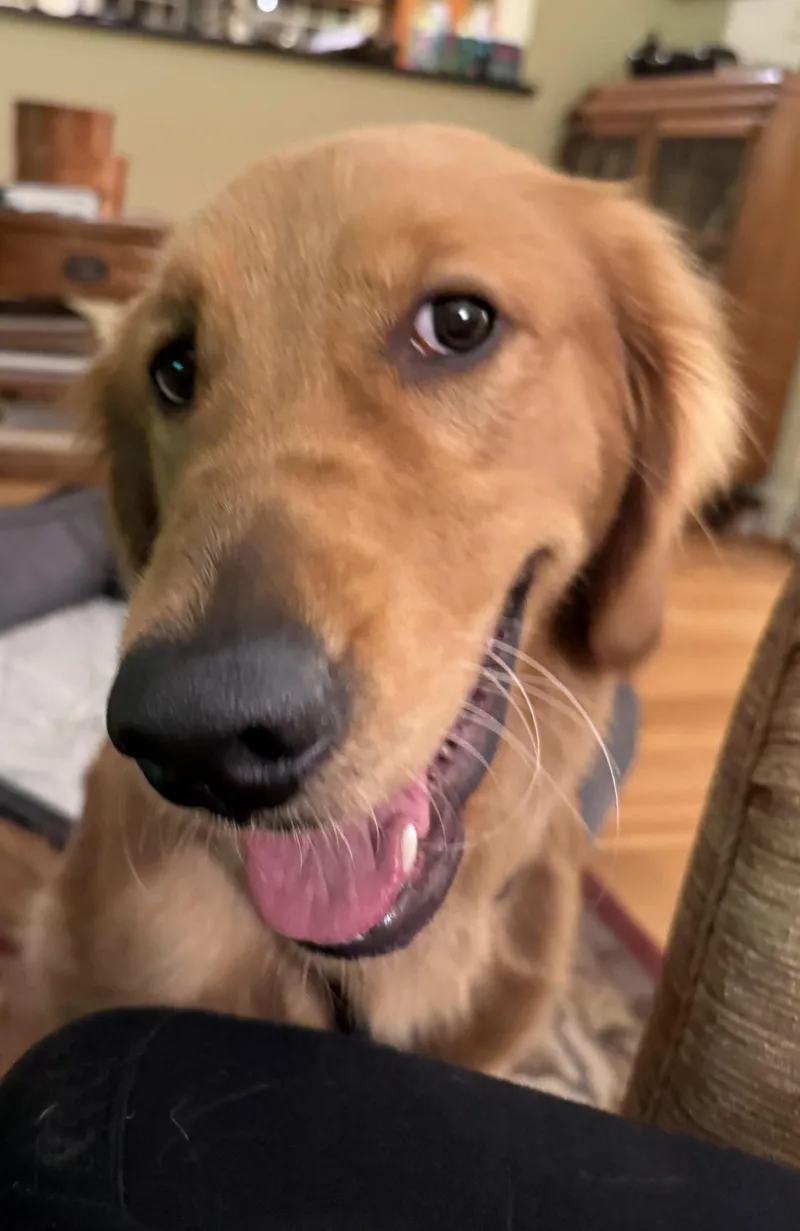 Winnie thumbnail 3