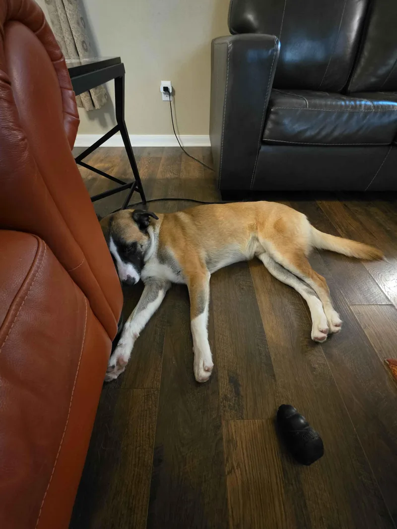Odin thumbnail 2