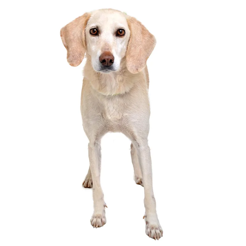 Gwendolyn thumbnail 3