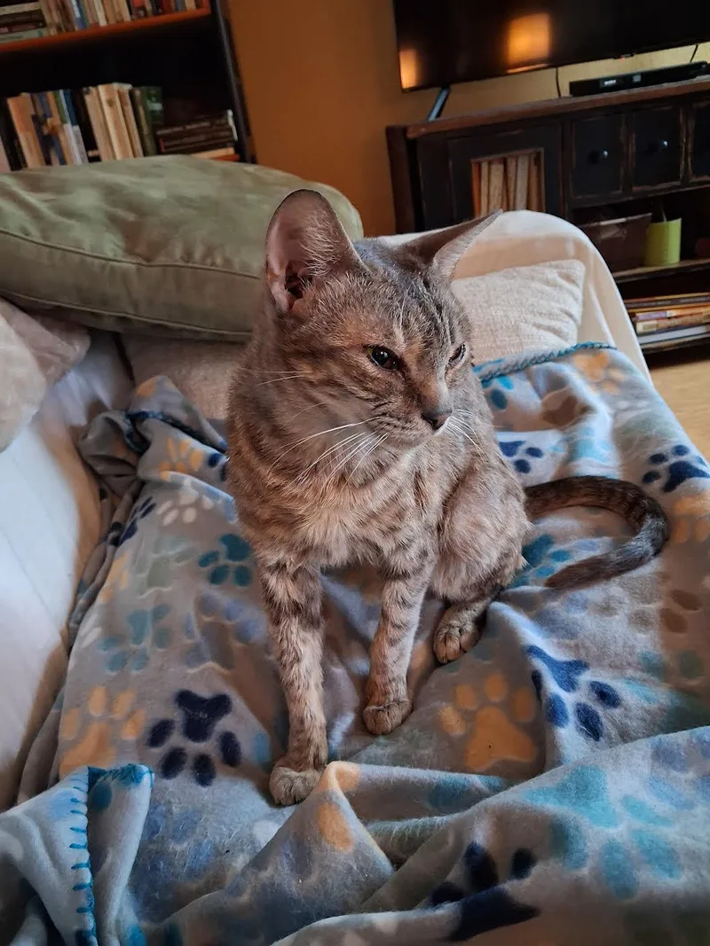 Finn Mcmissile & Cruz thumbnail 3