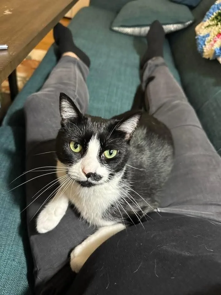 Dumpling thumbnail 5