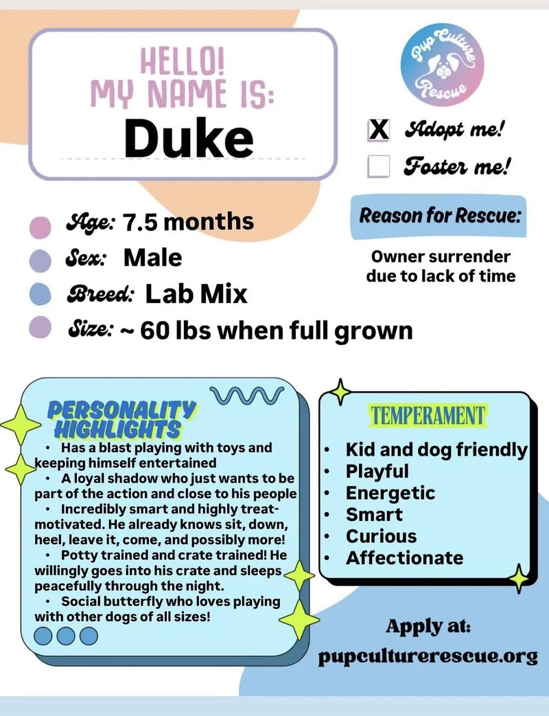 Duke thumbnail 2