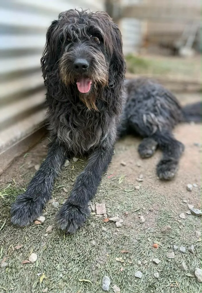 Pringles thumbnail 2