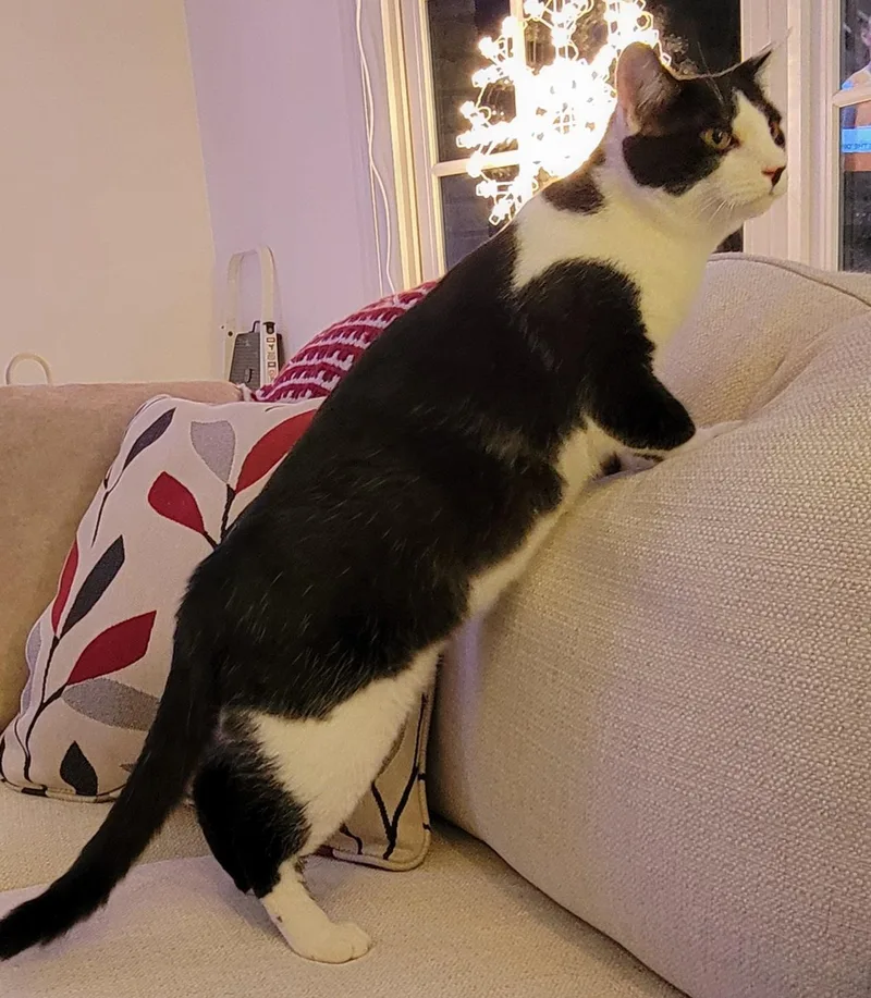 Hugh Highland And Waylan thumbnail 2