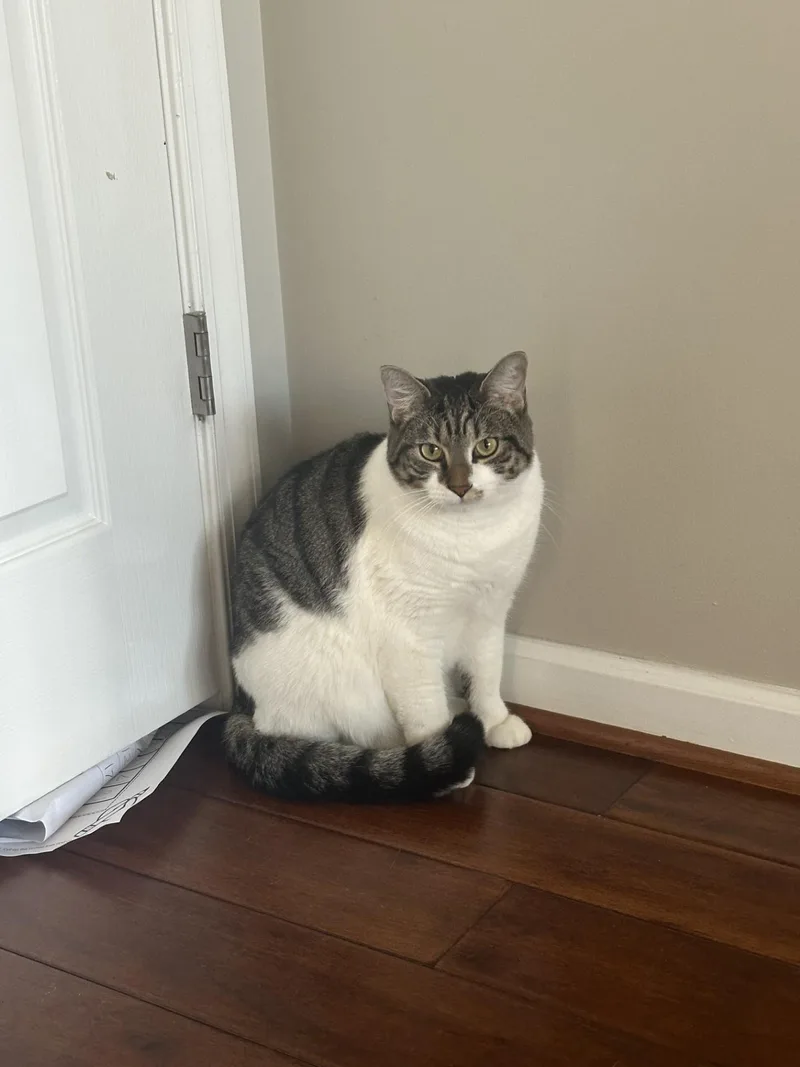 Iris And Zephyr thumbnail 3