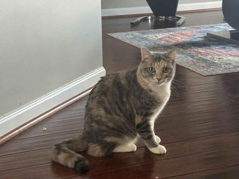 Iris And Zephyr thumbnail 5