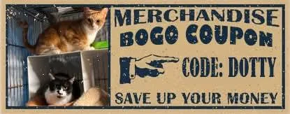 An adult large-sized male Black & White / Tuxedo Domestic Short Hair cat named Discount Dan & Coupon for adoption in Lake Hopatcong, NJ