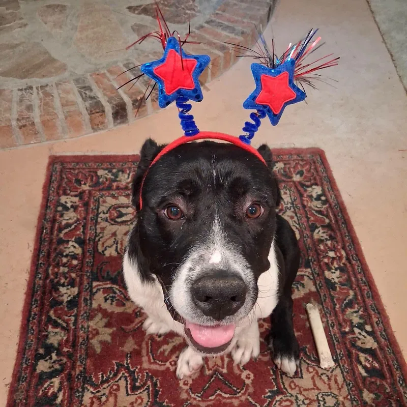 Ethel thumbnail 2