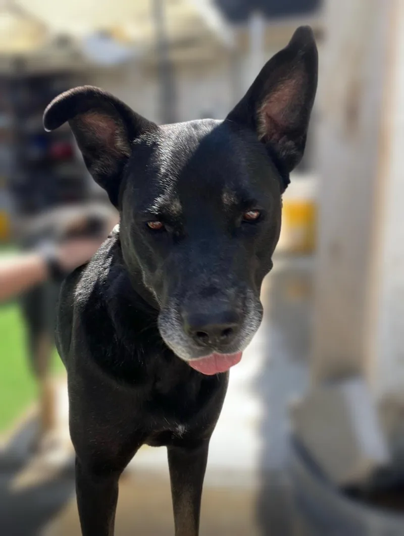 Baby Boy  Sweet thumbnail 5