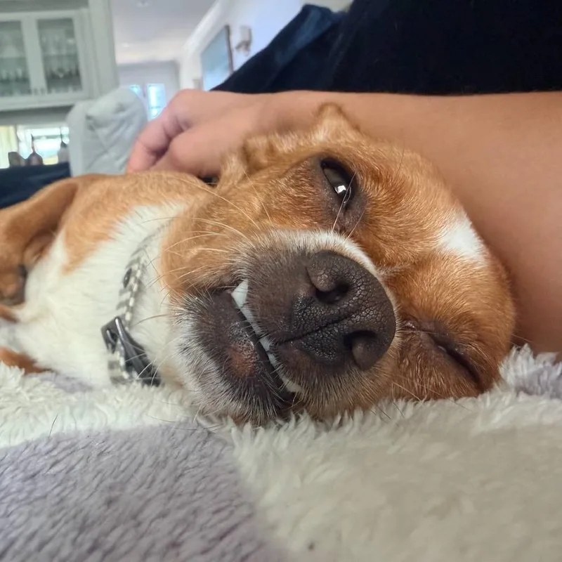 Trudy thumbnail 6