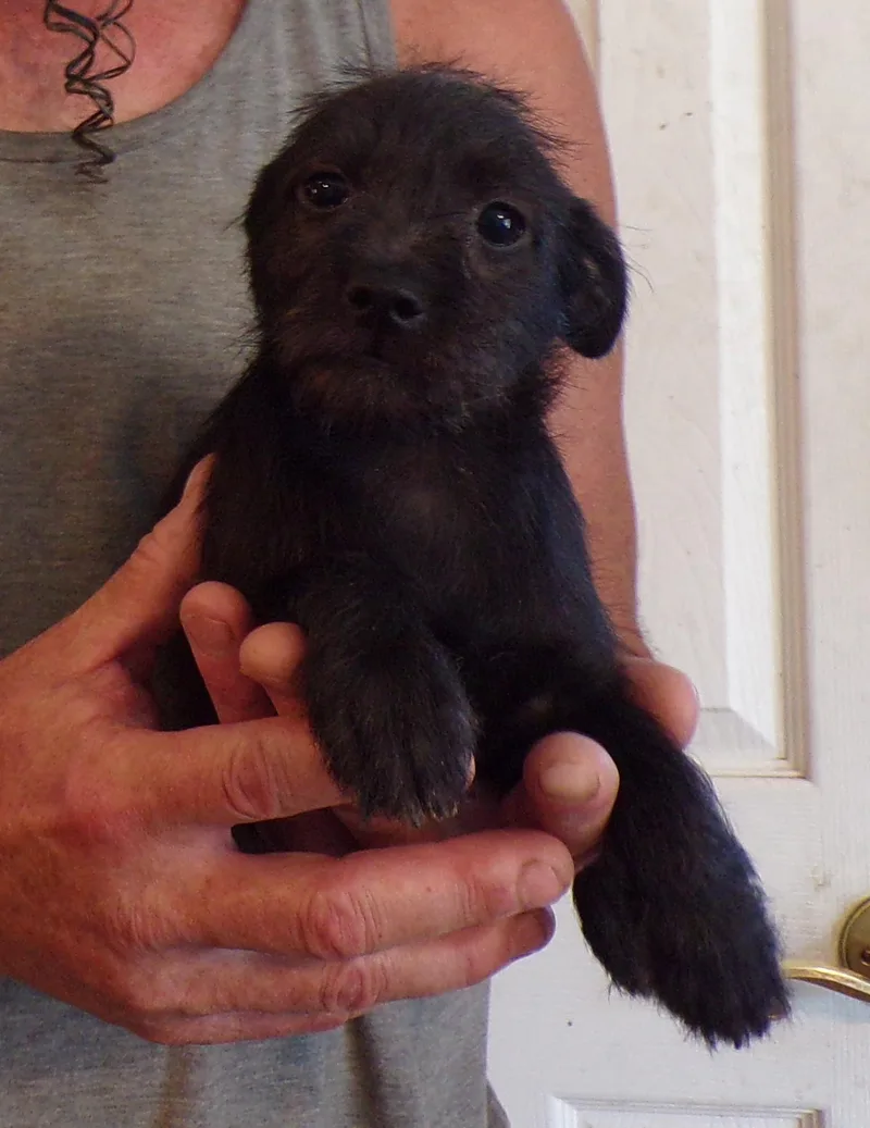 Hallie thumbnail 2