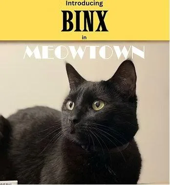 Binx MT thumbnail 2