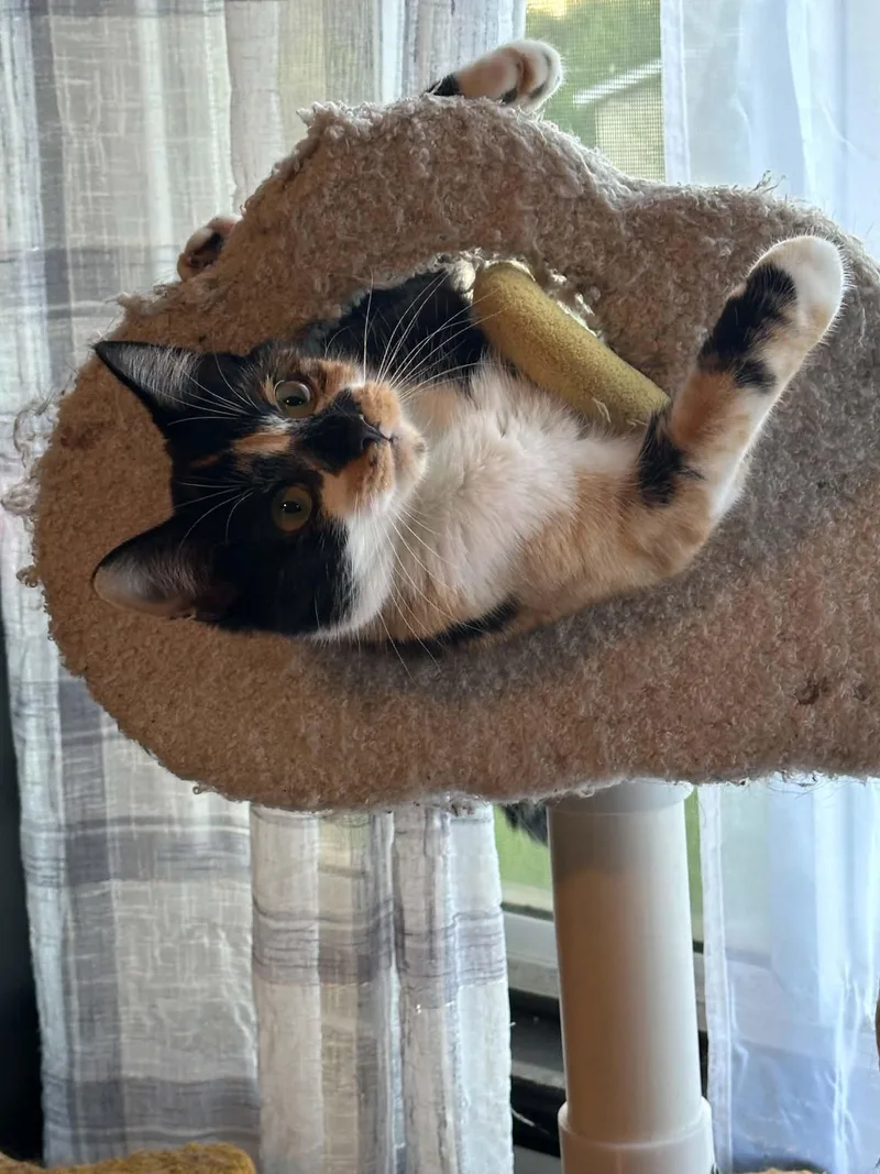 Bernadette