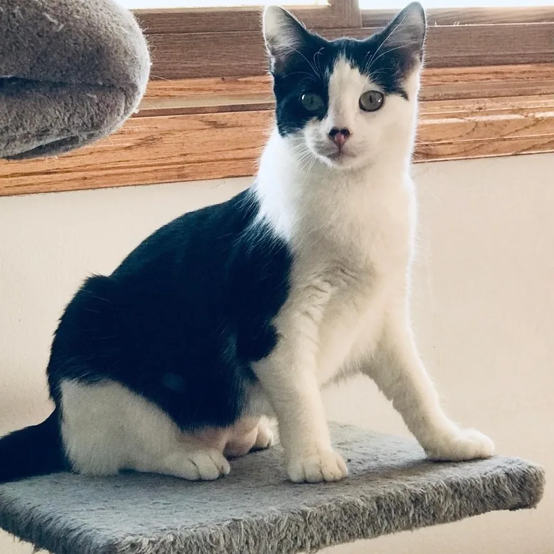 Maria & Carey thumbnail 2