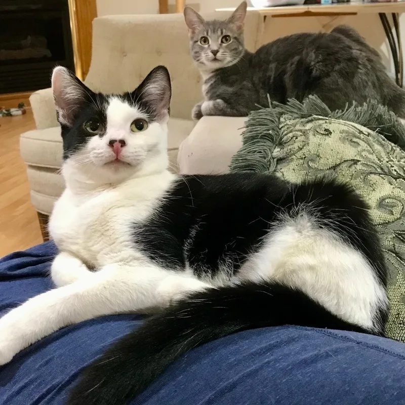 Maria & Carey thumbnail 3