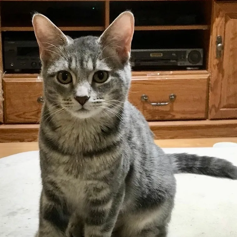 Maria & Carey thumbnail 4