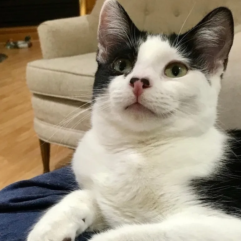 Maria & Carey thumbnail 5