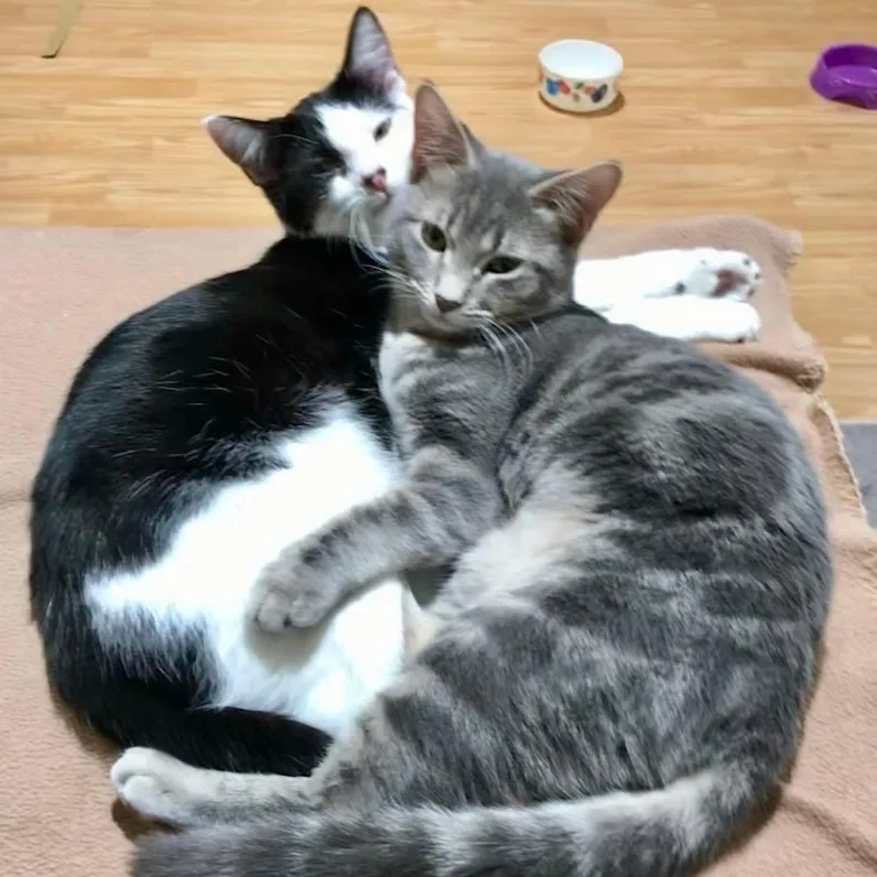 Maria & Carey thumbnail 6