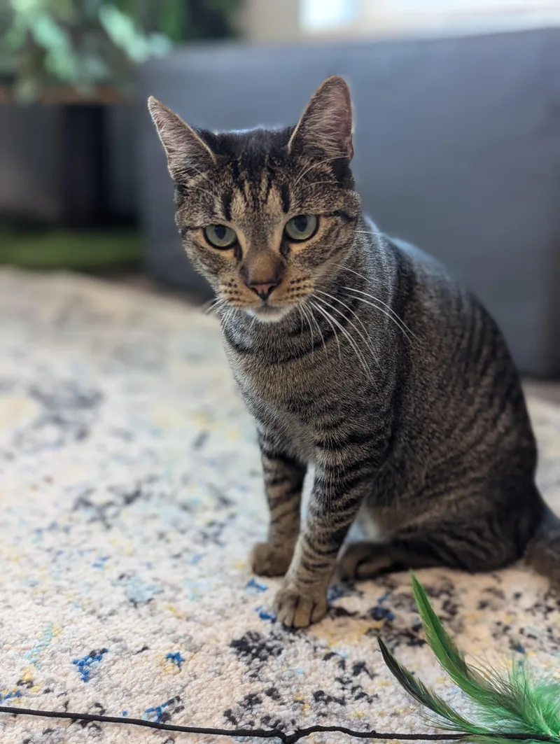 Mcdreamy thumbnail 2