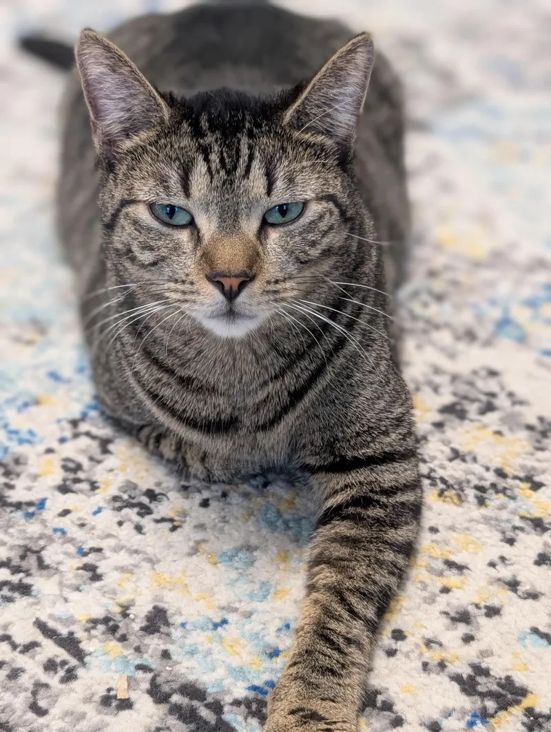 Mcdreamy thumbnail 3