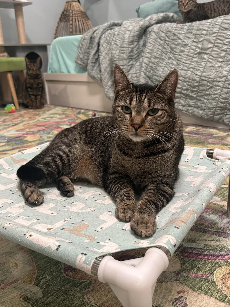 Mcdreamy thumbnail 5