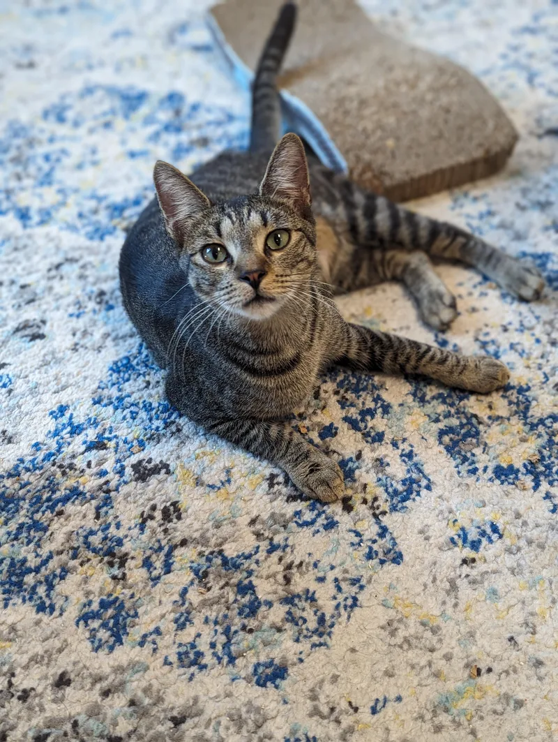 Mcdreamy thumbnail 6