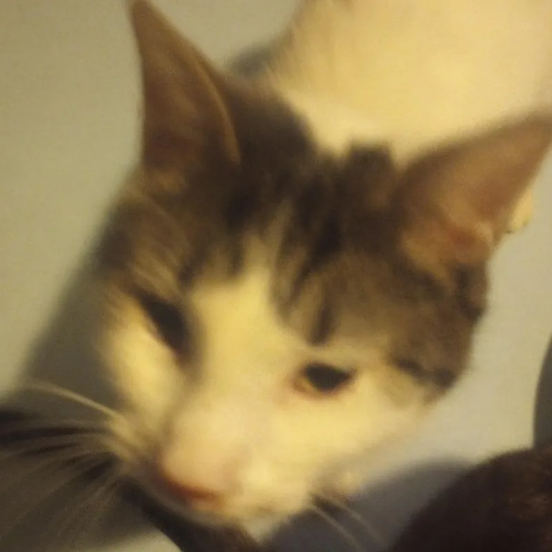 White Girl thumbnail 2