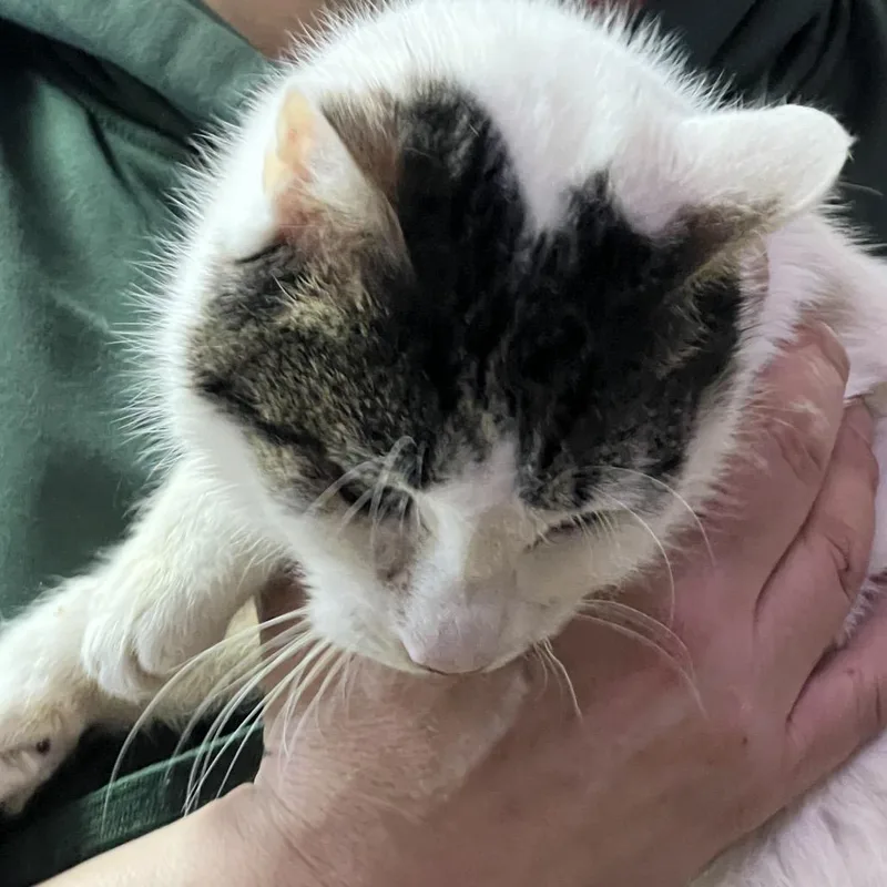 White Girl thumbnail 3